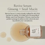⁦سيروم كوري بالجينسنغ وميوسين الحلزون Beauty of Joseon – 30 ml⁩ - الصورة ⁦3⁩