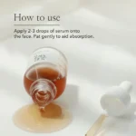 ⁦سيروم كوري بالجينسنغ وميوسين الحلزون Beauty of Joseon – 30 ml⁩ - الصورة ⁦7⁩