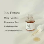 ⁦سيروم كوري بالجينسنغ وميوسين الحلزون Beauty of Joseon – 30 ml⁩ - الصورة ⁦5⁩