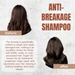 ⁦شامبو زيت الأرغان لتغذية الشعر وتقليل التقصف 500 مل – Skin Doctor Argan Oil Shampoo⁩ - الصورة ⁦2⁩